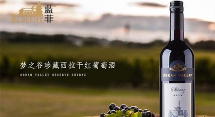 什么樣的品牌適合代理開(kāi)紅酒加盟店?